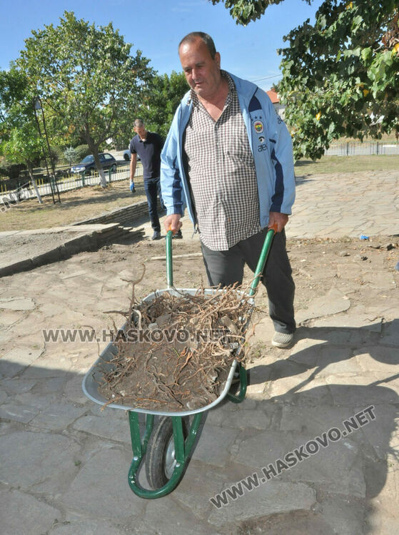 Доброволци облагородяват площада на с.Долно Войводино