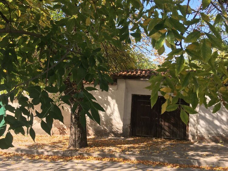 Слънчево с приятни темпертури