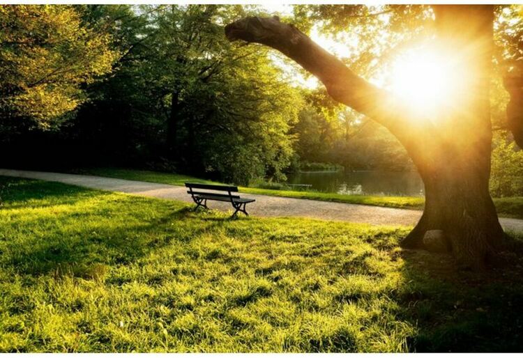 Жълт код за силен вятър в сряда