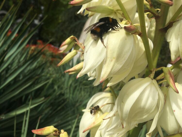 Температурите през октомври ще са от минус 5 до 32 градуса