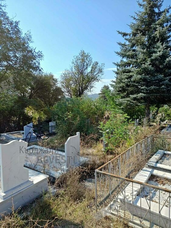 Гробищният парк в Момчилград тъне в храсти и бурени, същата е картината в Кърджали
