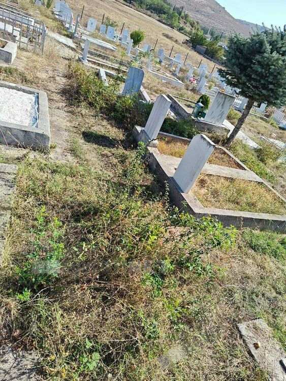 Гробищният парк в Момчилград тъне в храсти и бурени, същата е картината в Кърджали