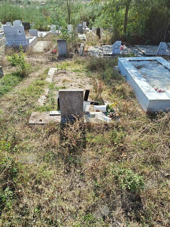 Гробищният парк в Момчилград тъне в храсти и бурени, същата е картината в Кърджали