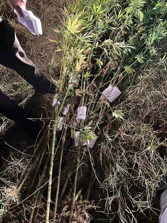 Снимки: ОД на МВР - Хасково