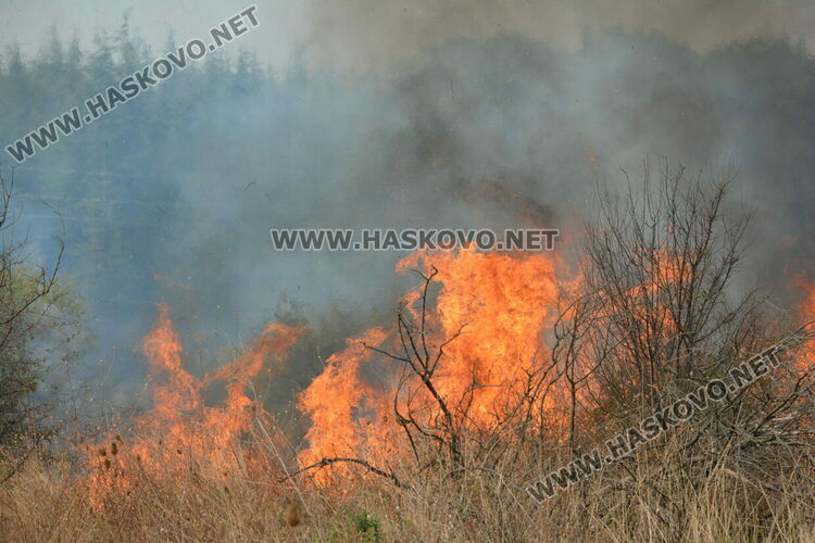 Пожар избухна край  Хасково