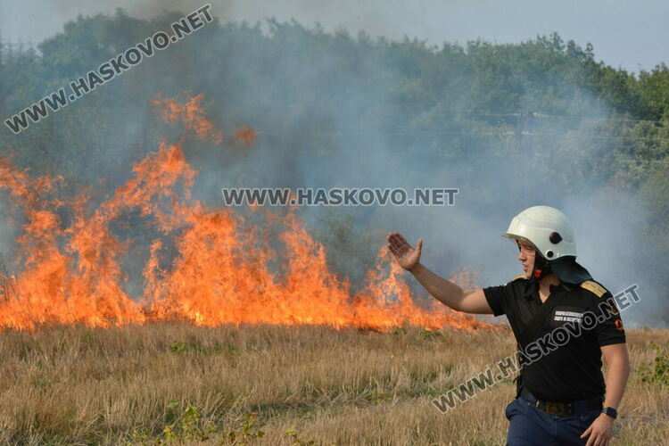 Пожар избухна край  Хасково