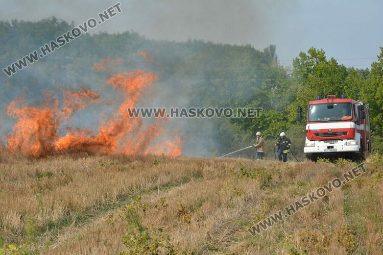 Пожар избухна край  Хасково