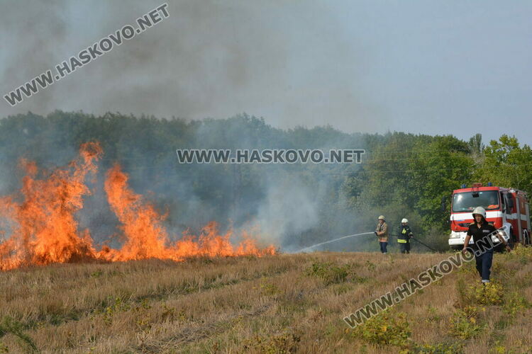 Пожар избухна край  Хасково