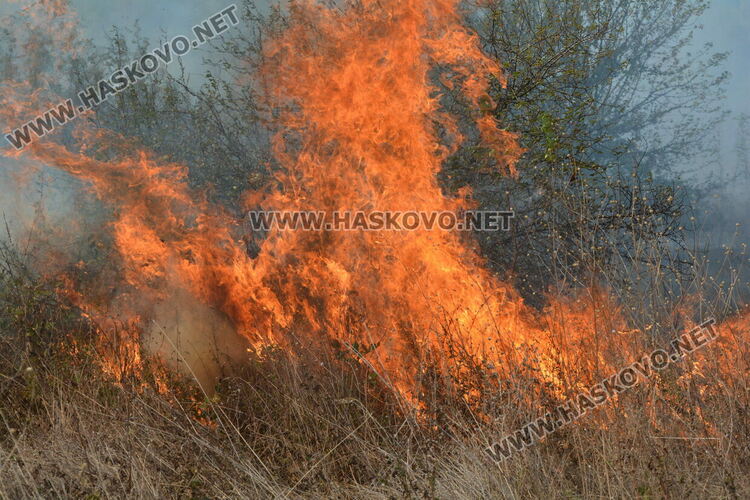 Пожар избухна край  Хасково