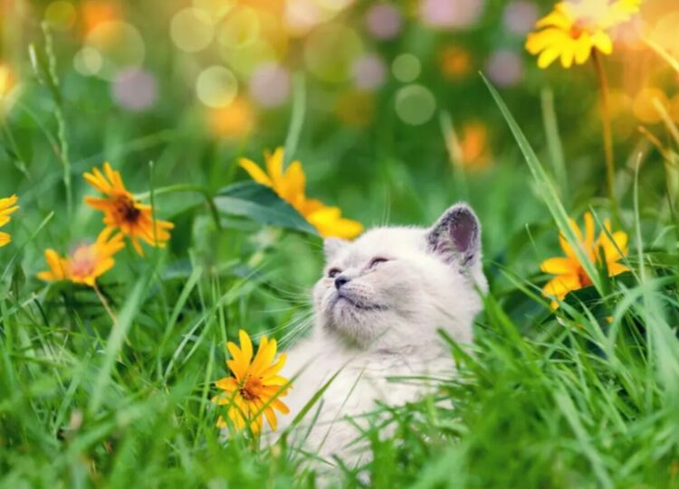 Променлива облачност и с по-ниска температура в понеделник