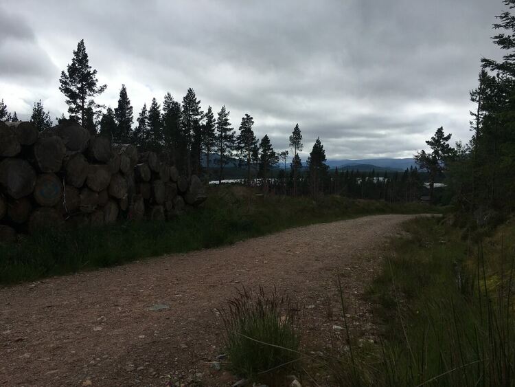 Променлива облачност, до 26 градуса днес