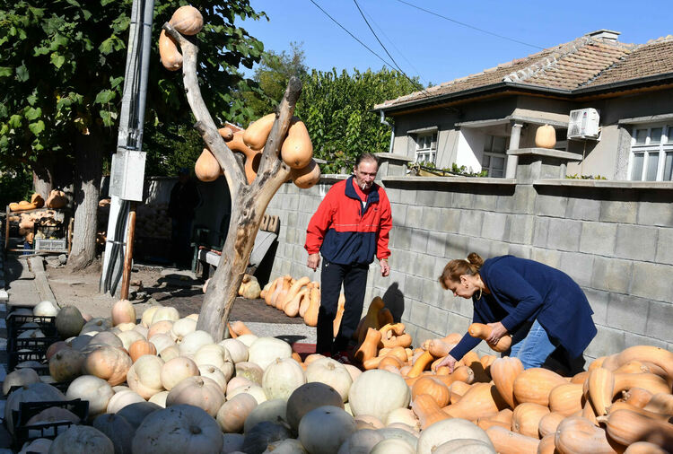 Столицата на тиквите с. Горски извор празнува 