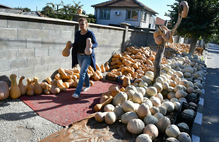 Столицата на тиквите с. Горски извор празнува 