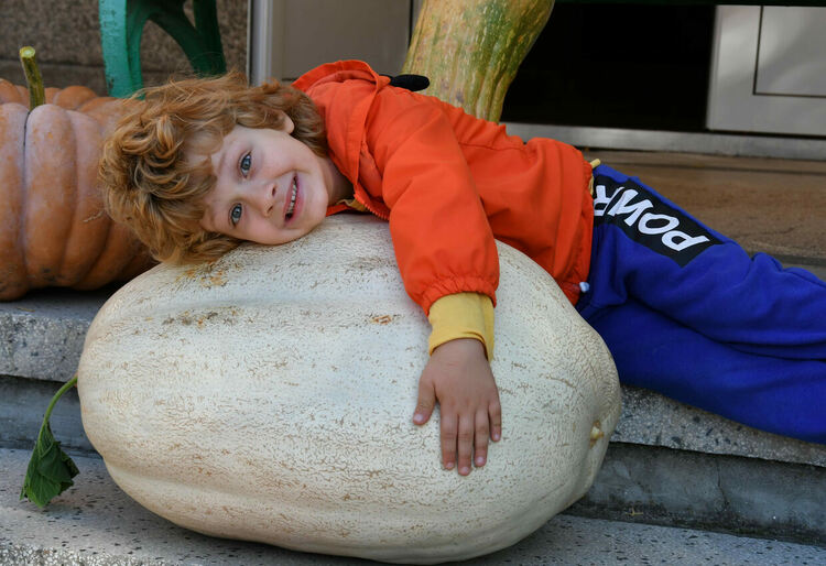 Столицата на тиквите с. Горски извор празнува 