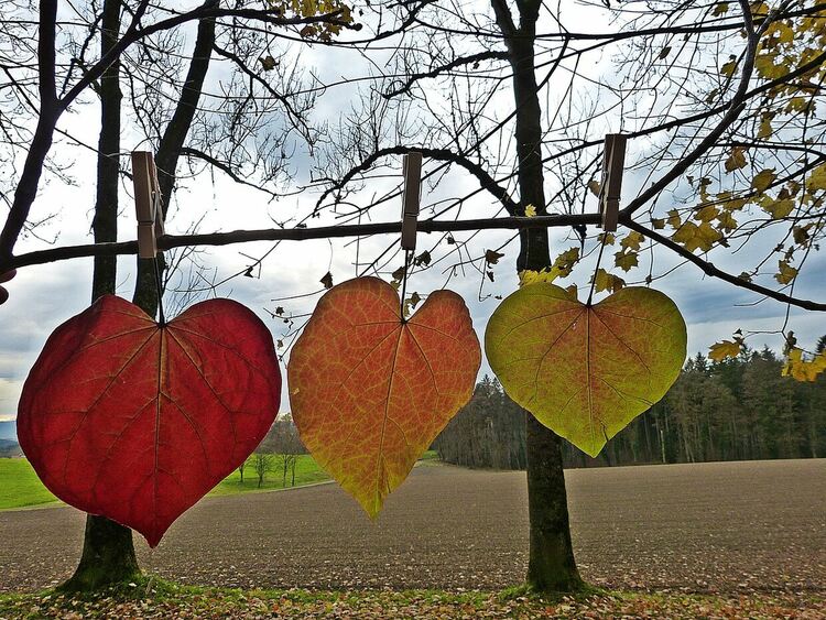 Ветровито и облачно днес