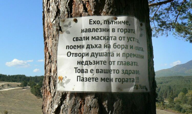 "Компас 1994" с достойно представяне на Нощния индивидуален шампионат по спортно ориентиране