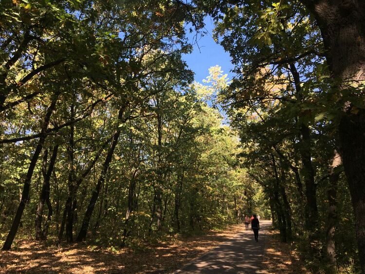 Облачността се разкъсва и намалява