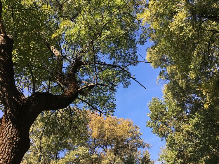 Слънчево и по-топло днес