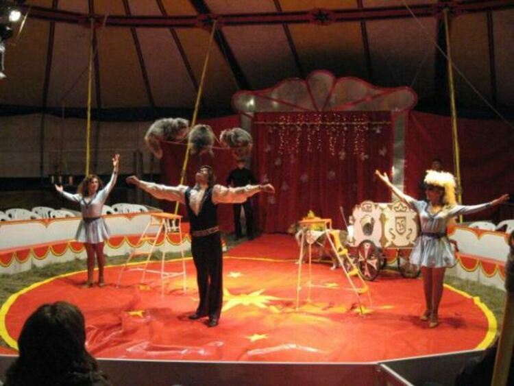 Цирк „Феникс” разпъва шатрата си за Деня на Кърджали