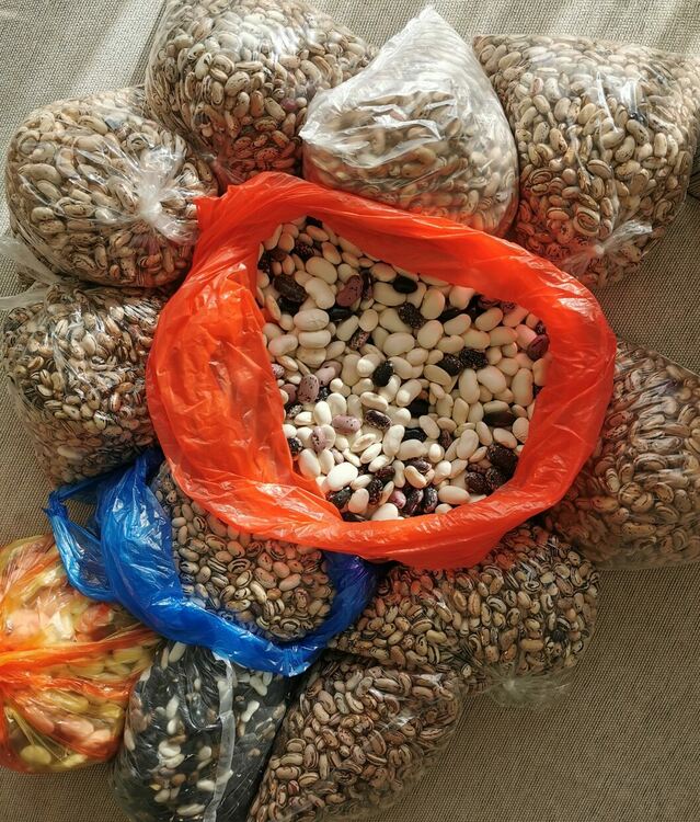 13 казана със смилянски  фасул ще бъдат изядени днес на празника в Смилян