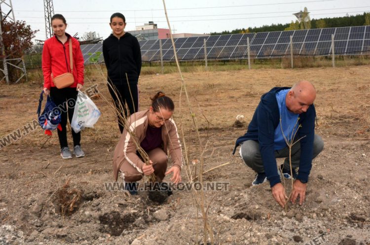 Край кв. “Орфей“ ще ухае на люляци
