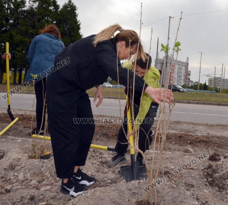 Край кв. “Орфей“ ще ухае на люляци