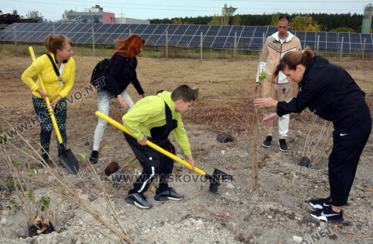 Край кв. “Орфей“ ще ухае на люляци