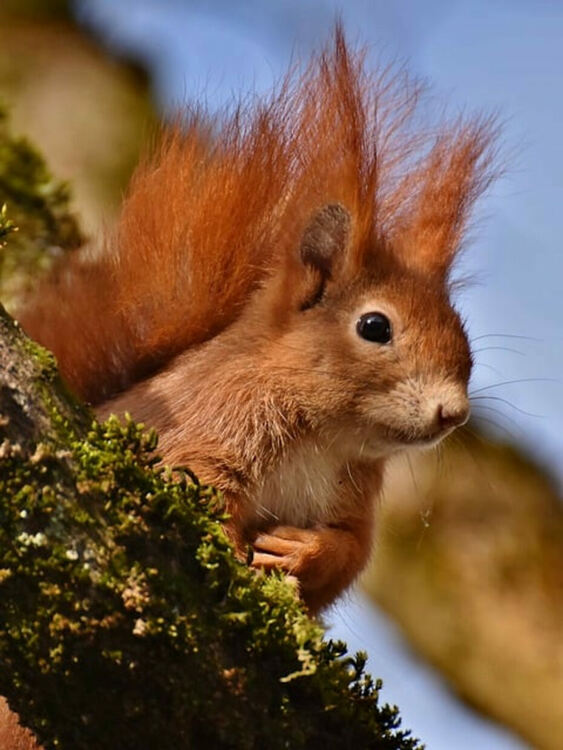 Топъл ден с разкъсана облачност днес 