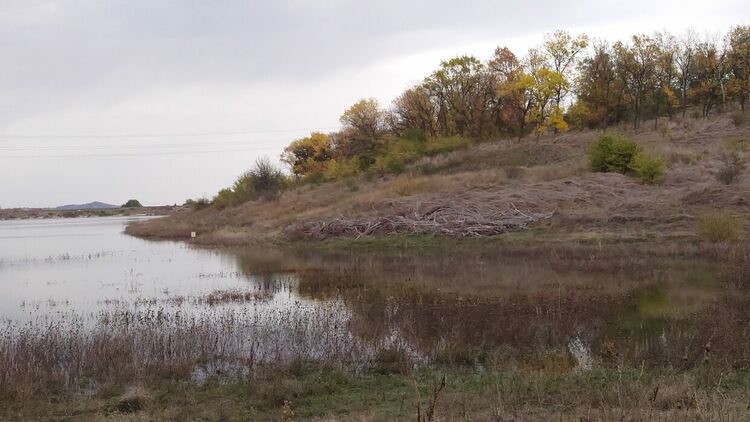 Облачно и дъждовно днес, прегърмявания на места