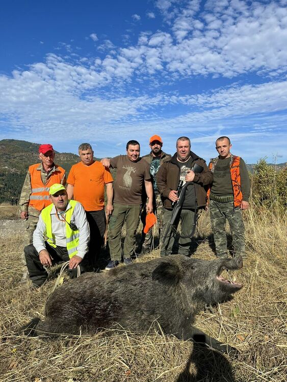 Два трофейни глигана отстреляха ловците от Млечино и Горно Прахово