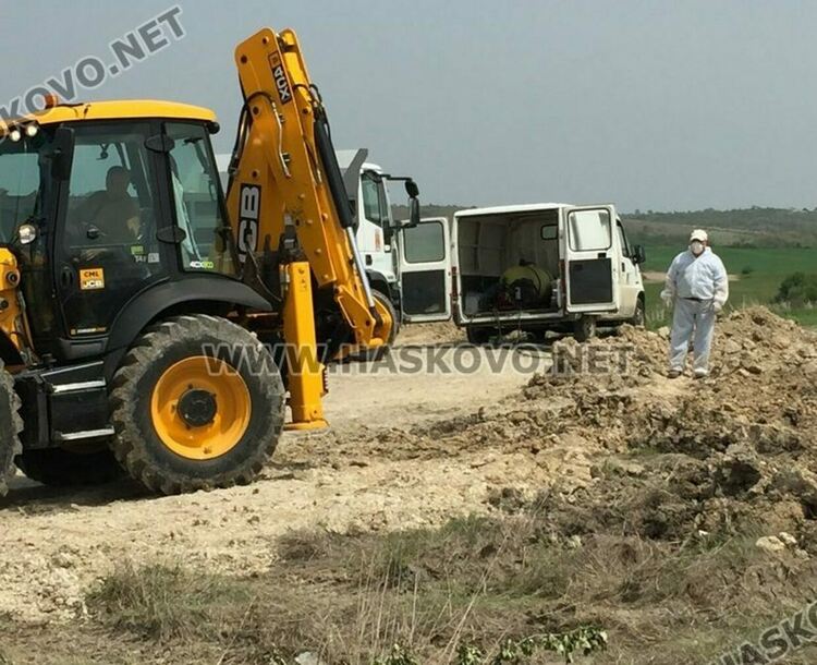 Загробват 4 хил. кокошки носачки от ферма в с.Криво поле заради птичи грип