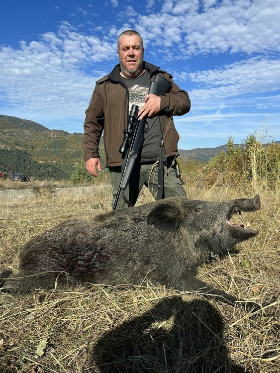 Два трофейни глигана отстреляха ловците от Млечино и Горно Прахово