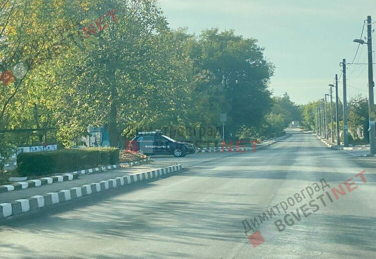 Засилено полицейско присъствие в село Добрич