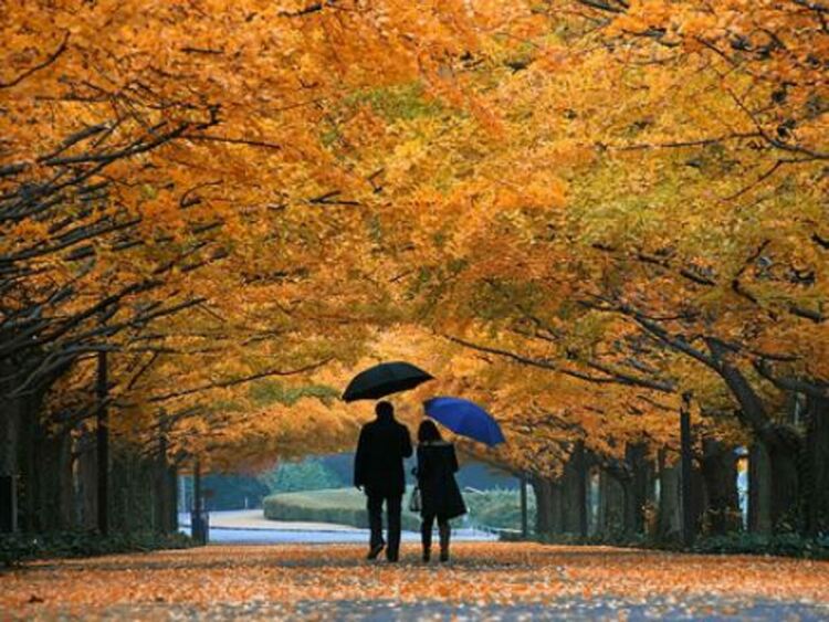 По-студено и дъждовно в четвъртък