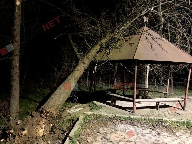 Предупреждение - оранжев код за силен вятър в димитровградско