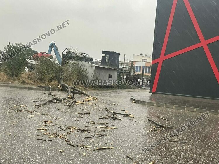 Кратката, но силна буря, която премина през Хасково, наводни улици и изкорени дървета
