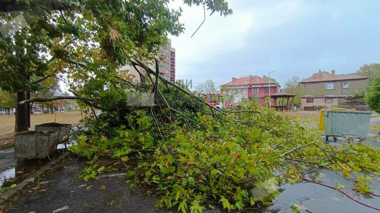 4 пожара по време на потопа,множество сигнали за паднали дървета,заради бурята/снимки/