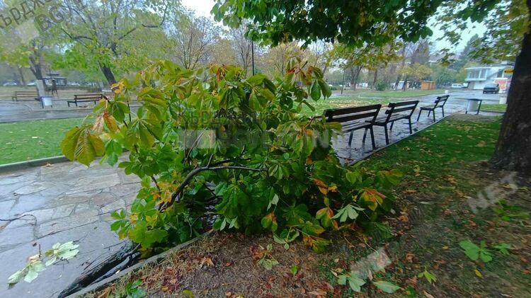 4 пожара по време на потопа,множество сигнали за паднали дървета,заради бурята/снимки/