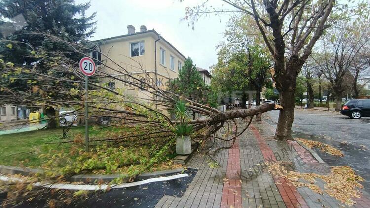 4 пожара по време на потопа,множество сигнали за паднали дървета,заради бурята/снимки/