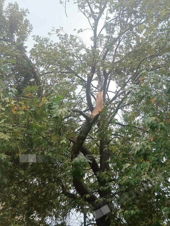 4 пожара по време на потопа,множество сигнали за паднали дървета,заради бурята/снимки/