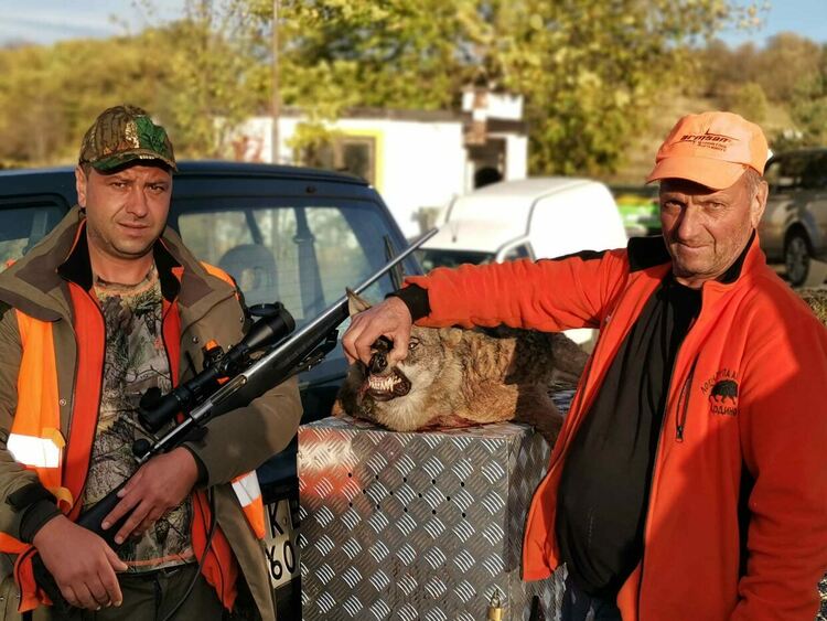 Денислав повали с един изстрел вълк в местността „Юмрук кая“