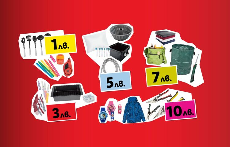 Голяма разпродажба в Lidl: всичко за бита и домакинство на цени от 1 до 10 лв.