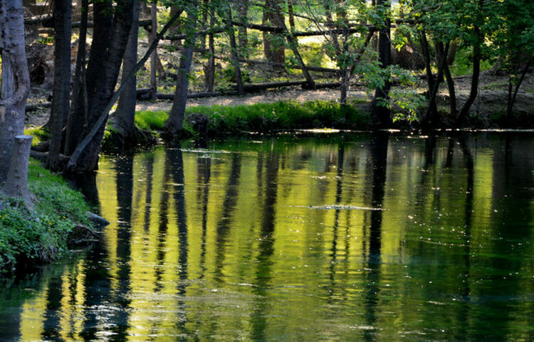 Всички естествени екосистеми останаха в обхвата на закона въпреки яростната съпротива за изключването на някои от тях като торфищата и блатата