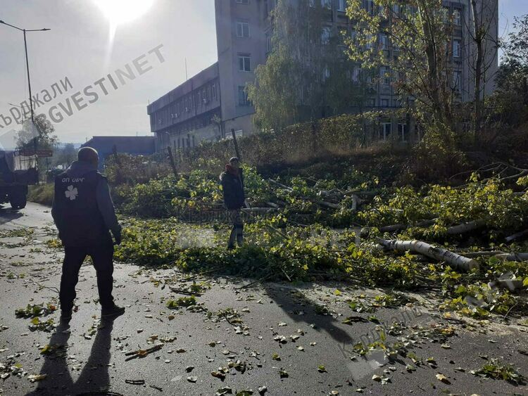 Санитарна сеч в района на КАТ доведе до задръстване в сутрешните часове