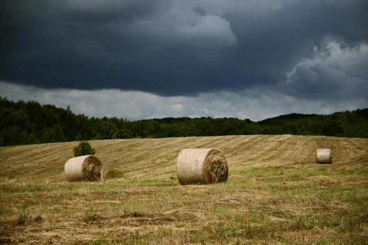 Фермерите ще трябва да полагат усилия за възстановяването на естествените обитания в част от земите, които обработват
