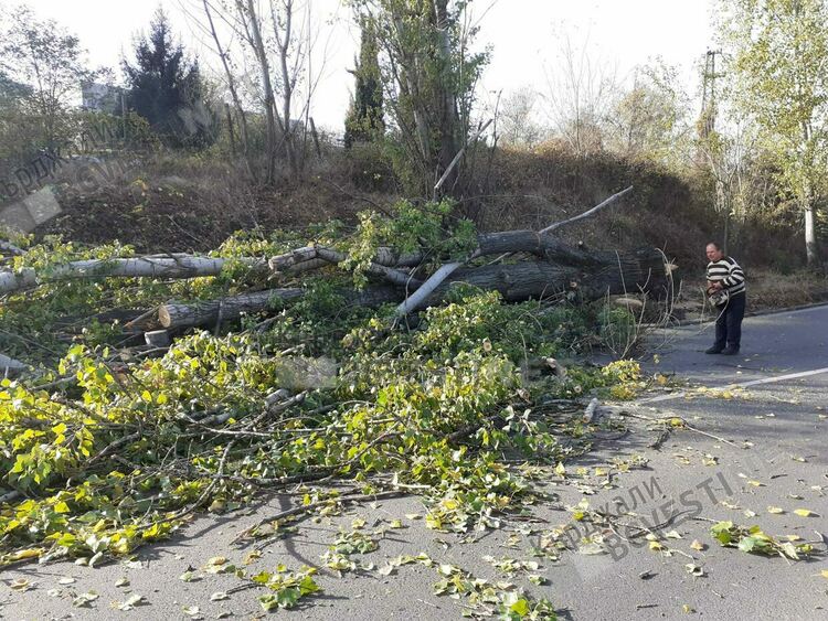 Санитарна сеч в района на КАТ доведе до задръстване в сутрешните часове