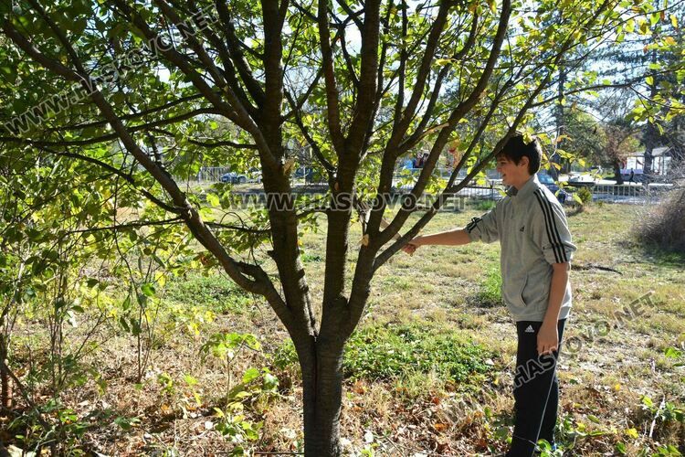 85-годишната църква в Книжовник с нов купол и кръст