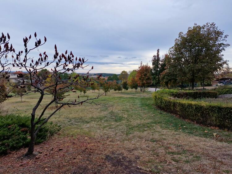 Снимка: Кремана Ганчева