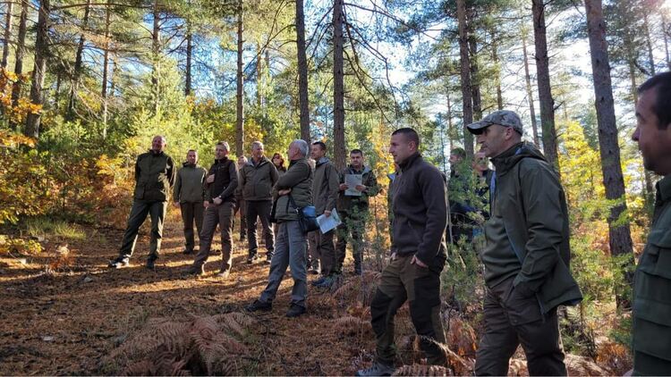 Фондация "По-диви Родопи" си партнира държавните горски и ловно стопанства в Кърджалийско