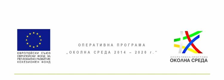 Ученици от Смолян видяха от къде идват коледните елхи и се включиха в кампанията "Залесявайки, променяме света!"